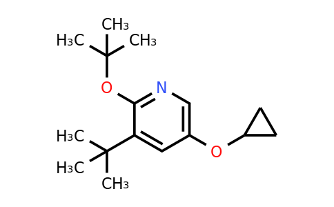 CAS 1243284-45-8 | 2-Tert-butoxy-3-tert-butyl-5-cyclopropoxypyridine