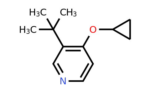 CAS 1243284-66-3 | 3-Tert-butyl-4-cyclopropoxypyridine