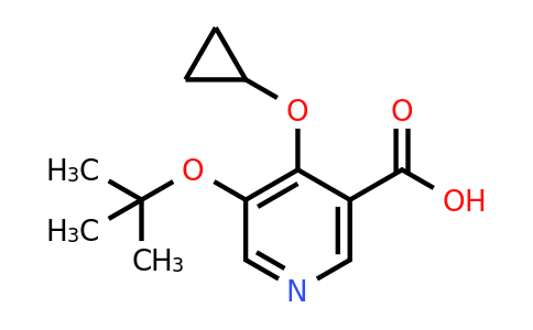 CAS 1243285-29-1 | 5-Tert-butoxy-4-cyclopropoxynicotinic acid