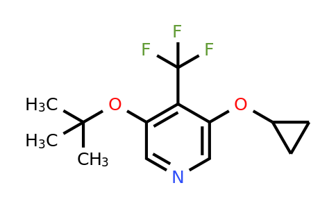 CAS 1243285-41-7 | 3-Tert-butoxy-5-cyclopropoxy-4-(trifluoromethyl)pyridine
