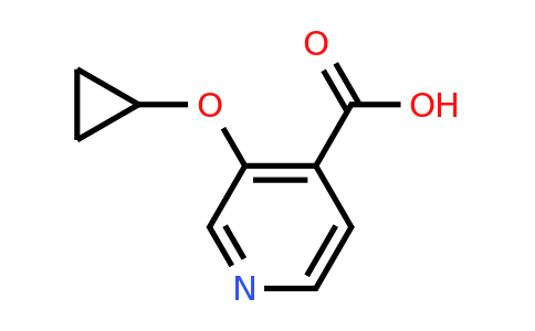 CAS 1243285-47-3 | 3-Cyclopropoxyisonicotinic acid