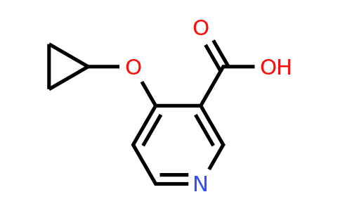 CAS 1243285-49-5 | 4-Cyclopropoxynicotinic acid