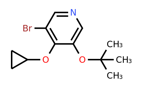 CAS 1243285-62-2 | 3-Bromo-5-tert-butoxy-4-cyclopropoxypyridine