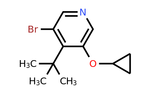 CAS 1243285-74-6 | 3-Bromo-4-tert-butyl-5-cyclopropoxypyridine