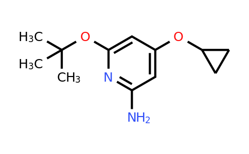 CAS 1243285-81-5 | 6-Tert-butoxy-4-cyclopropoxypyridin-2-amine