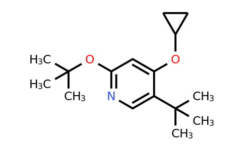 CAS 1243285-87-1 | 2-Tert-butoxy-5-tert-butyl-4-cyclopropoxypyridine