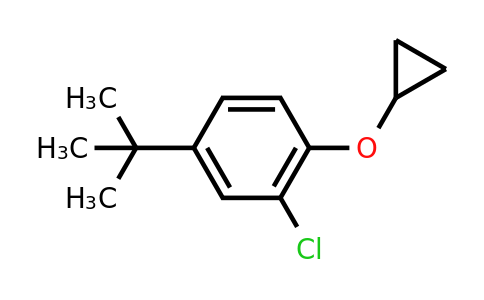 CAS 1243285-88-2 | 4-Tert-butyl-2-chloro-1-cyclopropoxybenzene