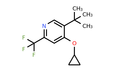 CAS 1243286-11-4 | 5-Tert-butyl-4-cyclopropoxy-2-(trifluoromethyl)pyridine