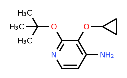 CAS 1243286-12-5 | 2-Tert-butoxy-3-cyclopropoxypyridin-4-amine