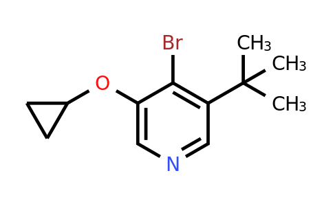 CAS 1243286-20-5 | 4-Bromo-3-tert-butyl-5-cyclopropoxypyridine