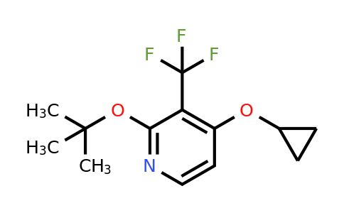 CAS 1243286-23-8 | 2-Tert-butoxy-4-cyclopropoxy-3-(trifluoromethyl)pyridine