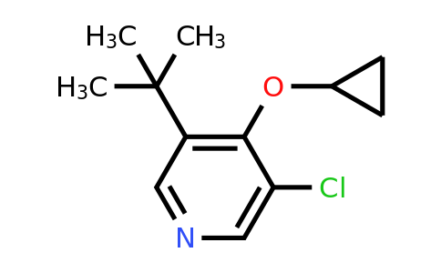 CAS 1243286-24-9 | 3-Tert-butyl-5-chloro-4-cyclopropoxypyridine