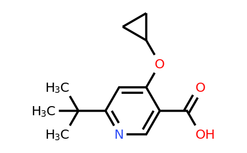 CAS 1243286-37-4 | 6-Tert-butyl-4-cyclopropoxynicotinic acid