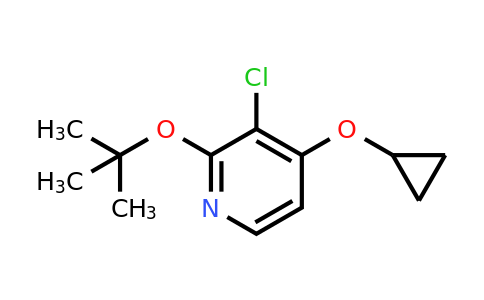 CAS 1243286-44-3 | 2-Tert-butoxy-3-chloro-4-cyclopropoxypyridine