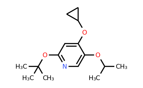 CAS 1243287-09-3 | 2-Tert-butoxy-4-cyclopropoxy-5-isopropoxypyridine