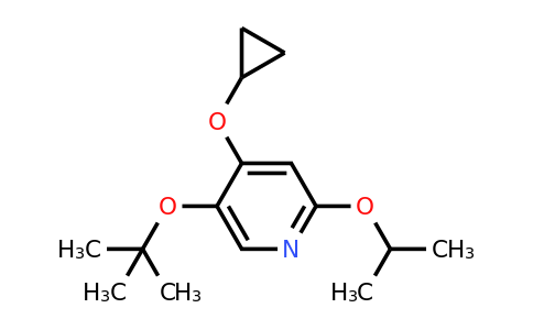 CAS 1243287-57-1 | 5-Tert-butoxy-4-cyclopropoxy-2-isopropoxypyridine