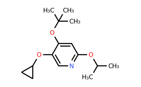 CAS 1243287-65-1 | 4-Tert-butoxy-5-cyclopropoxy-2-isopropoxypyridine