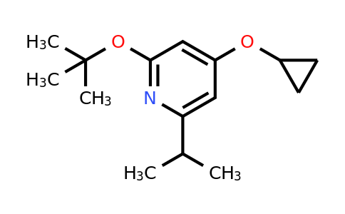 CAS 1243288-29-0 | 2-Tert-butoxy-4-cyclopropoxy-6-isopropylpyridine