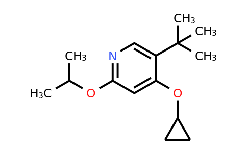 CAS 1243289-50-0 | 5-Tert-butyl-4-cyclopropoxy-2-isopropoxypyridine