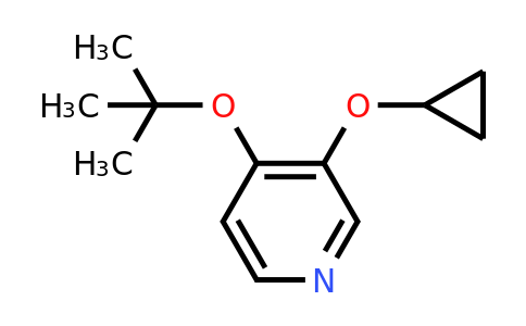 CAS 1243289-54-4 | 4-Tert-butoxy-3-cyclopropoxypyridine