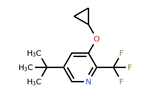 CAS 1243310-76-0 | 5-Tert-butyl-3-cyclopropoxy-2-(trifluoromethyl)pyridine