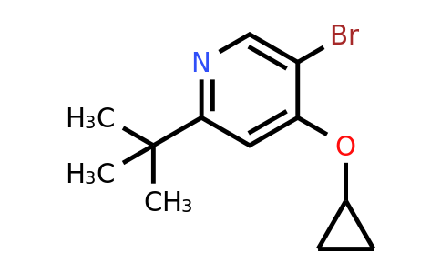 CAS 1243311-15-0 | 5-Bromo-2-tert-butyl-4-cyclopropoxypyridine