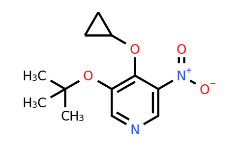 CAS 1243311-42-3 | 3-Tert-butoxy-4-cyclopropoxy-5-nitropyridine