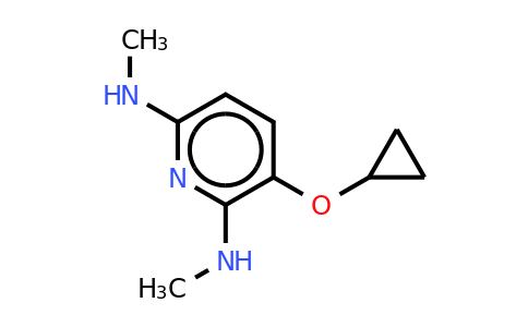 CAS 1243312-45-9 | 3-Cyclopropoxy-2-N,6-N-dimethylpyridine-2,6-diamine