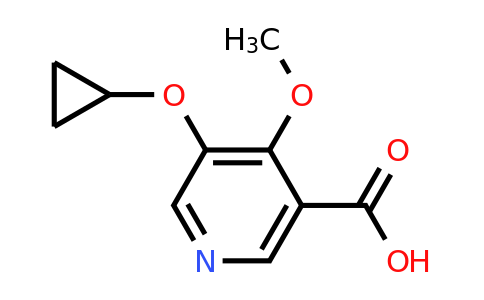 CAS 1243312-67-5 | 5-Cyclopropoxy-4-methoxynicotinic acid