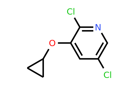CAS 1243313-28-1 | 2,5-Dichloro-3-cyclopropoxypyridine