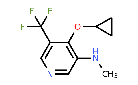 CAS 1243313-75-8 | 4-Cyclopropoxy-N-methyl-5-(trifluoromethyl)pyridin-3-amine