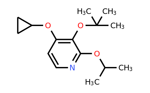 CAS 1243313-89-4 | 3-Tert-butoxy-4-cyclopropoxy-2-isopropoxypyridine