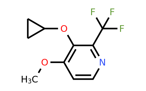 CAS 1243315-81-2 | 3-Cyclopropoxy-4-methoxy-2-(trifluoromethyl)pyridine