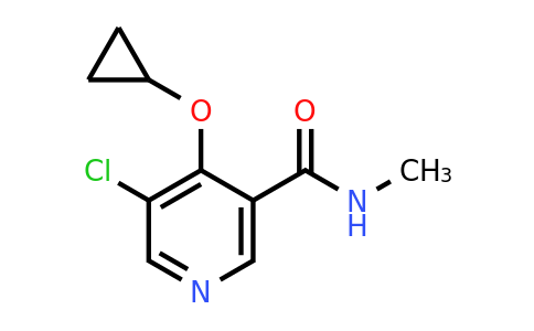 CAS 1243316-03-1 | 5-Chloro-4-cyclopropoxy-N-methylnicotinamide