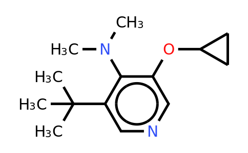CAS 1243316-70-2 | 3-Tert-butyl-5-cyclopropoxy-N,n-dimethylpyridin-4-amine