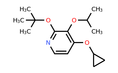 CAS 1243317-12-5 | 2-Tert-butoxy-4-cyclopropoxy-3-isopropoxypyridine