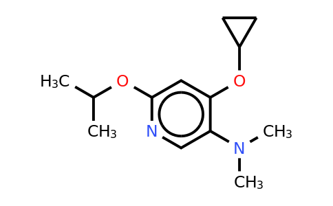 CAS 1243317-21-6 | 4-Cyclopropoxy-6-isopropoxy-N,n-dimethylpyridin-3-amine