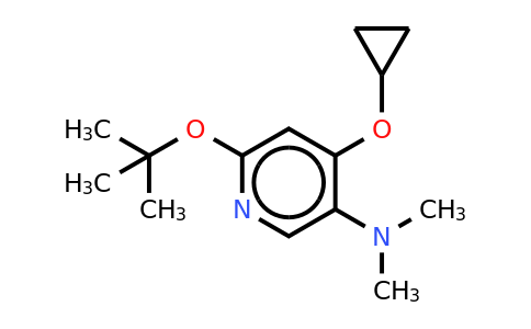 CAS 1243317-47-6 | 6-Tert-butoxy-4-cyclopropoxy-N,n-dimethylpyridin-3-amine