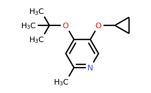 CAS 1243317-93-2 | 4-Tert-butoxy-5-cyclopropoxy-2-methylpyridine