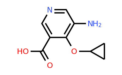 CAS 1243318-54-8 | 5-Amino-4-cyclopropoxynicotinic acid