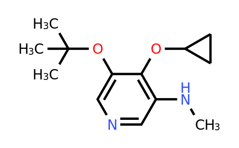 CAS 1243319-89-2 | 5-Tert-butoxy-4-cyclopropoxy-N-methylpyridin-3-amine