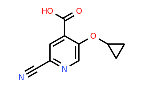 CAS 1243321-06-3 | 2-Cyano-5-cyclopropoxyisonicotinic acid