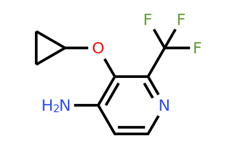 CAS 1243321-72-3 | 3-Cyclopropoxy-2-(trifluoromethyl)pyridin-4-amine