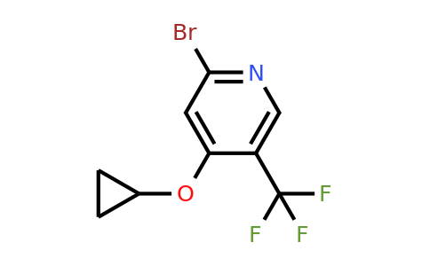 CAS 1243321-98-3 | 2-Bromo-4-cyclopropoxy-5-(trifluoromethyl)pyridine
