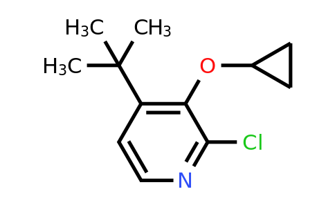 CAS 1243322-13-5 | 4-Tert-butyl-2-chloro-3-cyclopropoxypyridine