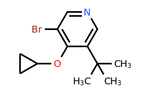 CAS 1243322-16-8 | 3-Bromo-5-tert-butyl-4-cyclopropoxypyridine