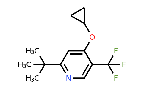 CAS 1243322-18-0 | 2-Tert-butyl-4-cyclopropoxy-5-(trifluoromethyl)pyridine