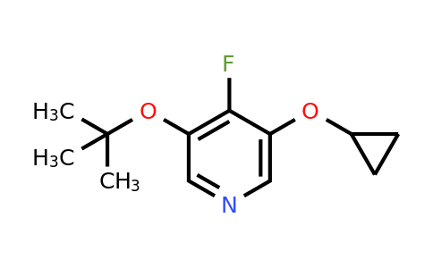 CAS 1243322-38-4 | 3-Tert-butoxy-5-cyclopropoxy-4-fluoropyridine