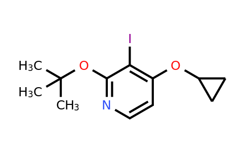 CAS 1243322-42-0 | 2-Tert-butoxy-4-cyclopropoxy-3-iodopyridine