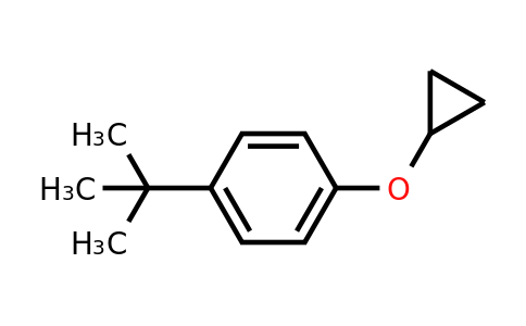 CAS 1243322-69-1 | 1-Tert-butyl-4-cyclopropoxybenzene